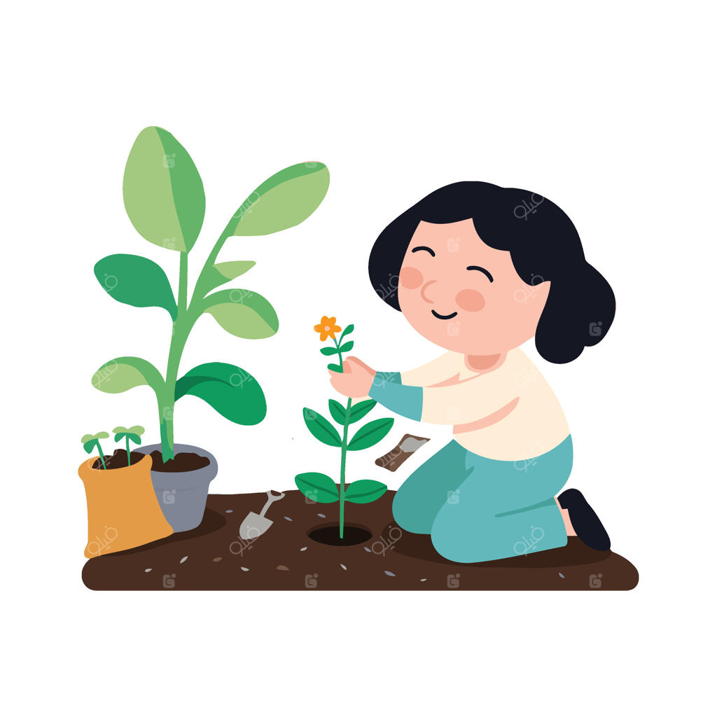 زنی در حال کاشتن گیاه در باغ است