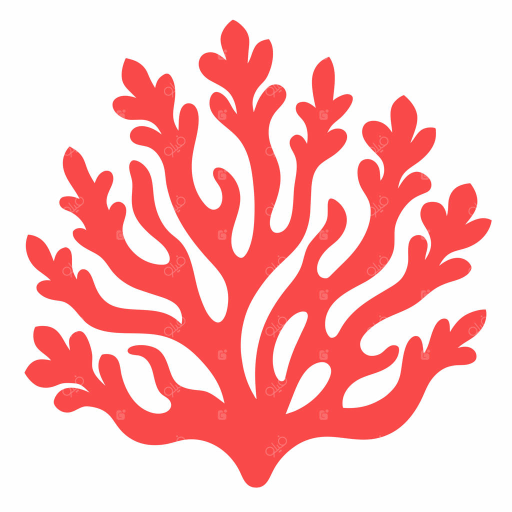 تصویرسازی و طرح کلیپ‌آرت مرجان با پس‌زمینه سفید یکدست ۱۹