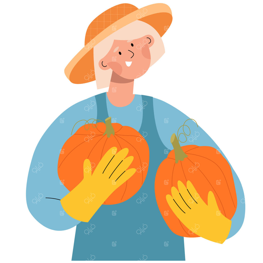 زنی کشاورز با کلاه حصیری کدو را در دست دارد. مفهوم برداشت پاییز، کشاورزی ارگانیک، باغبانی، باغچه خانگی. پوستر جشنواره برداشت.