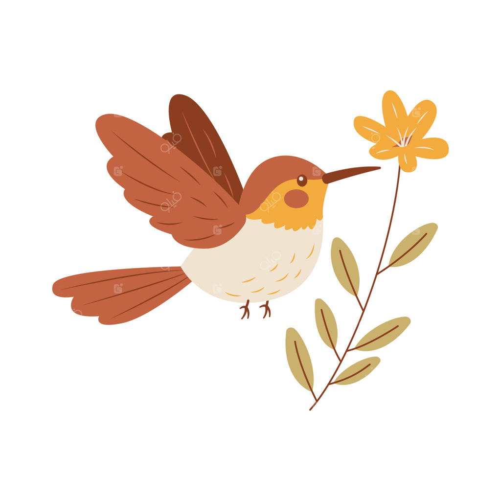 پرندهٔ زیبای مرغ مگس‌خوار در حال پرواز و گشت‌وگذار در میان گل‌های باغ