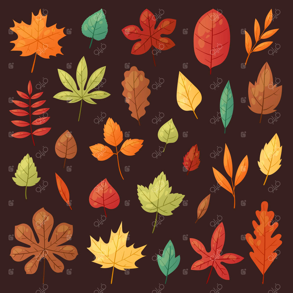 پاییزه: برگ‌های پاییزی که از درختان می‌ریزند، بلوط برگ‌ریز و افرا برگدار، یا درختانی که در حال برگریزی هستند. مجموعه‌ای از تصاویر برگ‌ها در زمینه‌ای مستقل.