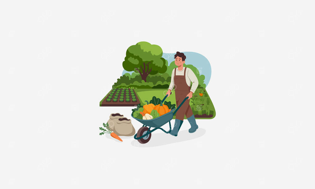 کشاورزی در حال حمل فرغونی پر از سبزیجات تازه در باغ.