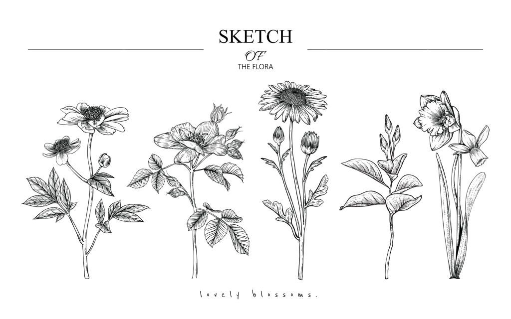 طراحی‌های زیبا از برگ و گل‌ها