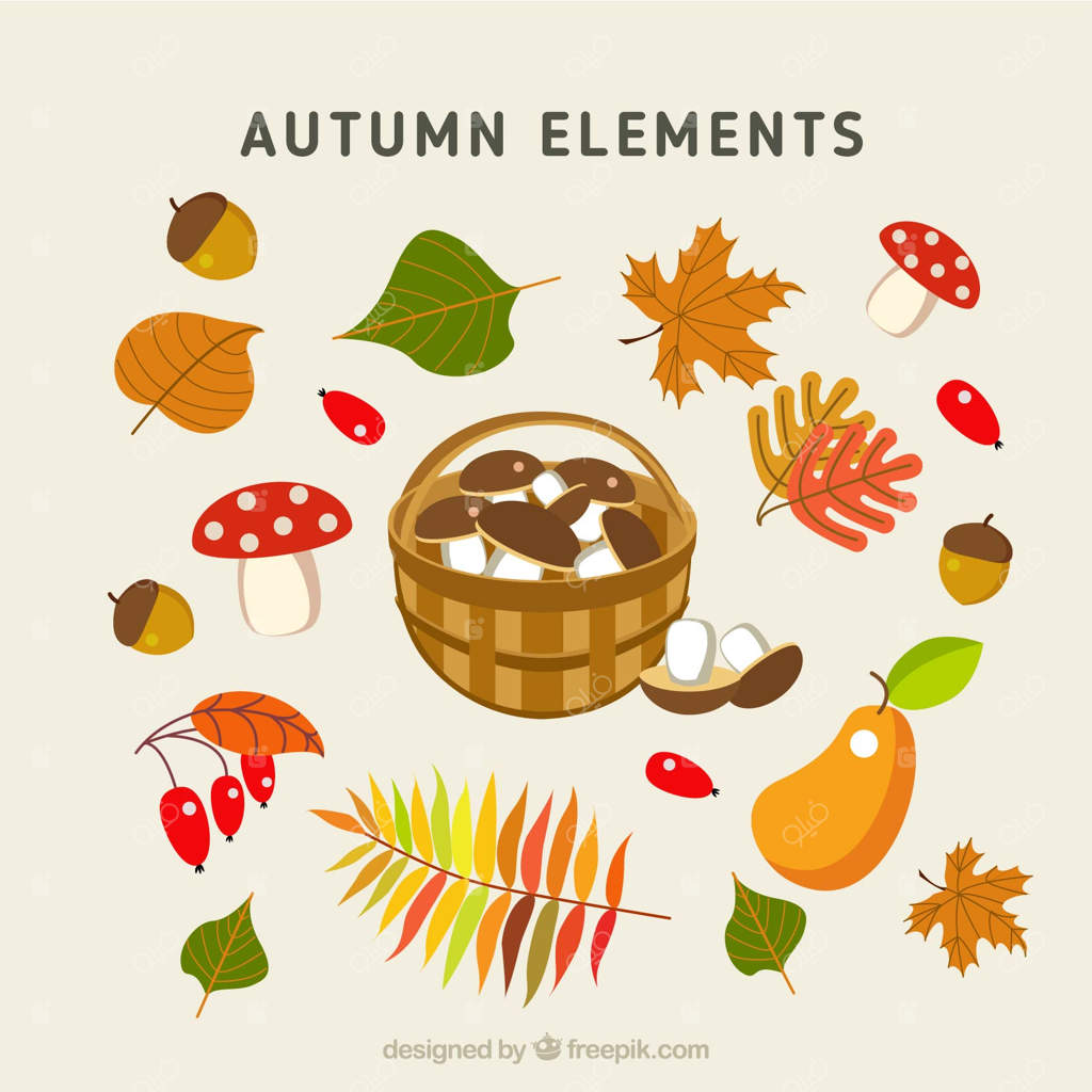 سبد قارچ و اقلام رنگارنگ دیگر