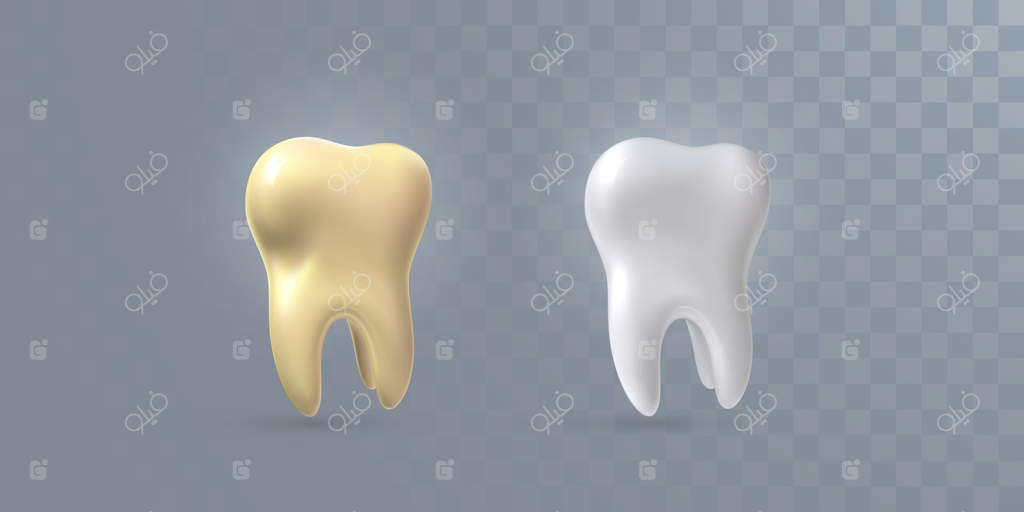 دندان‌های سه‌بعدی واقع‌گرایانه روی پس‌زمینه‌ی شفاف