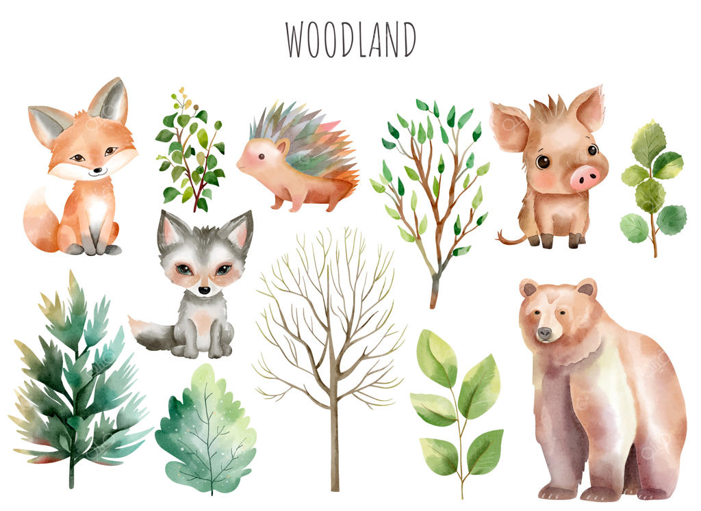 مجموعه‌ای از حیوانات جنگلی در آبرنگ. درختان و گیاهان سبز. حیوانات جنگل: خرس، روباه، گراز، جوجه‌تیغی.