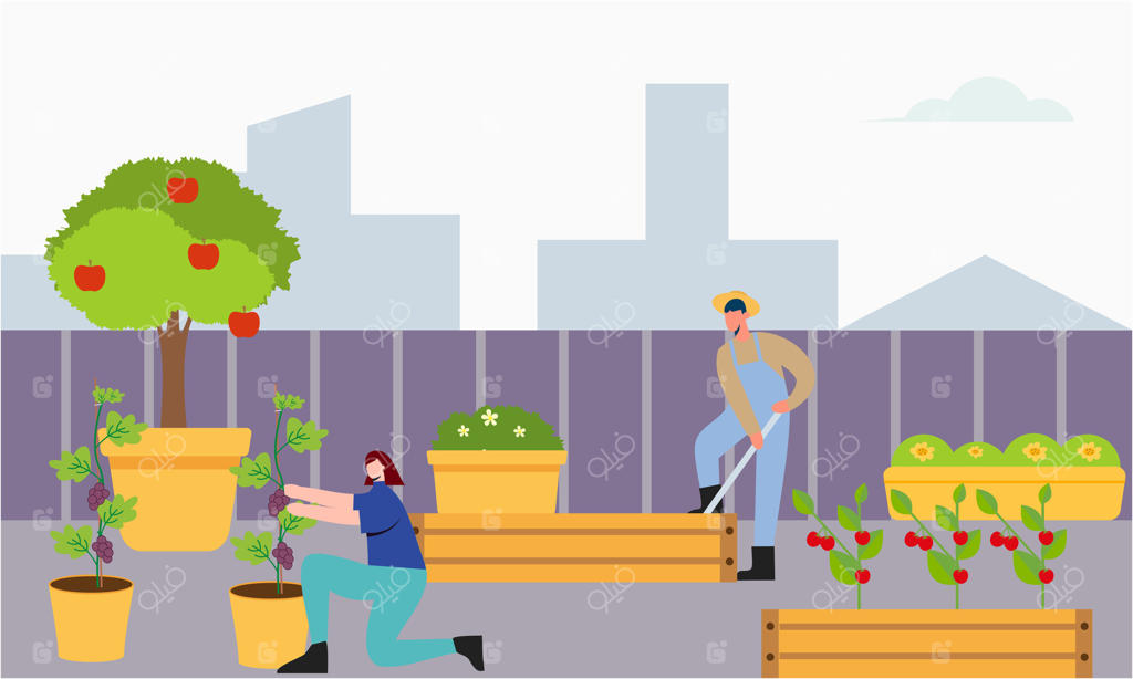 تصویر طرح بام سبز با همکاری کشاورز و باغبان