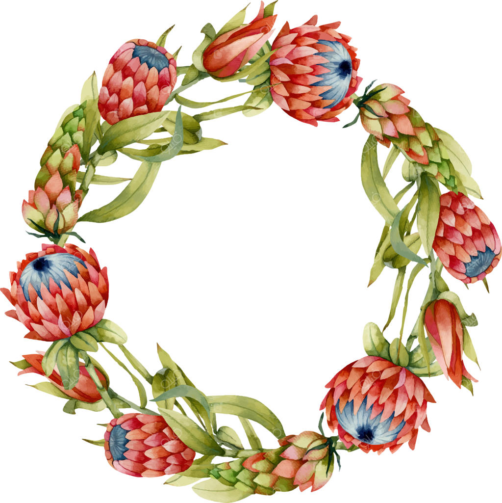 تاج گل با گل‌های پروتئا آبرنگی