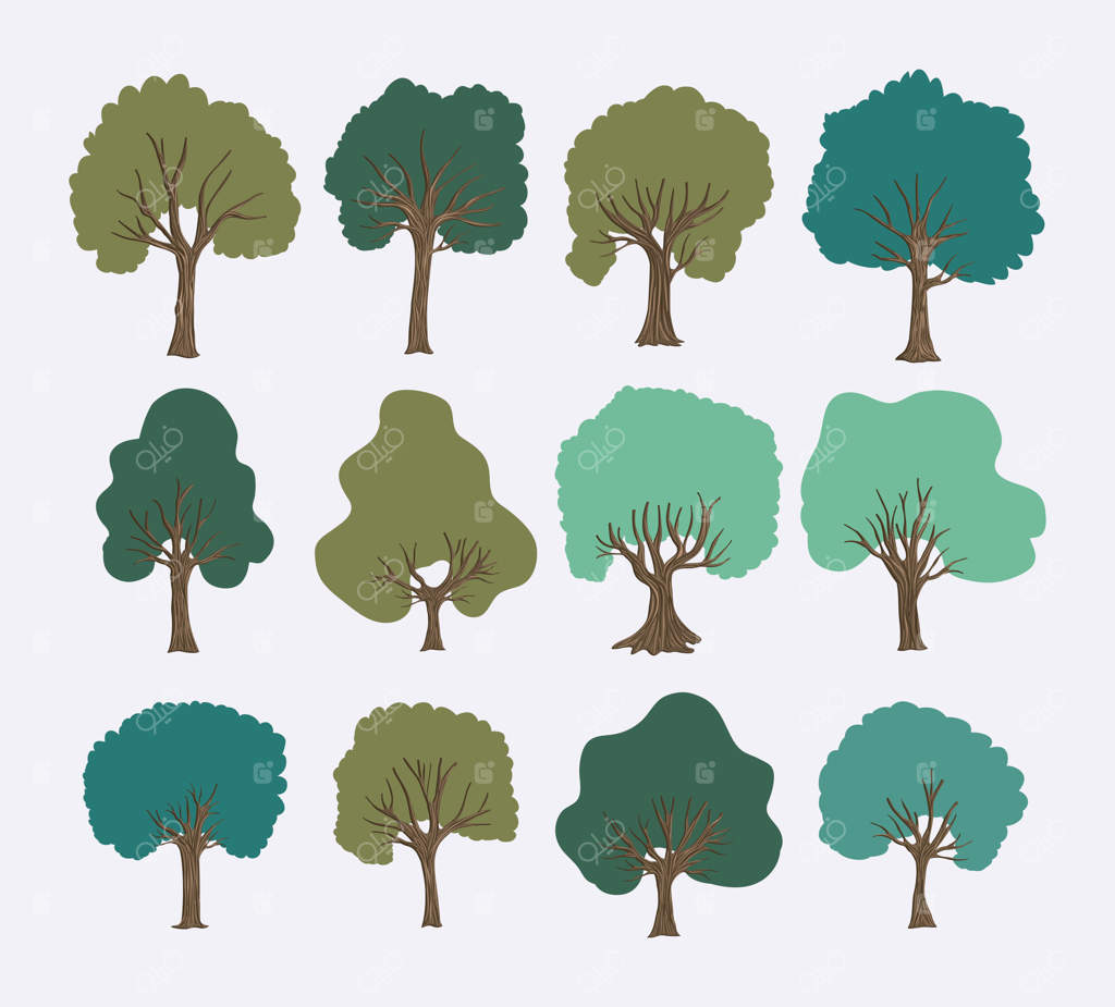 مجموعه‌ای از جنگل‌های درختی