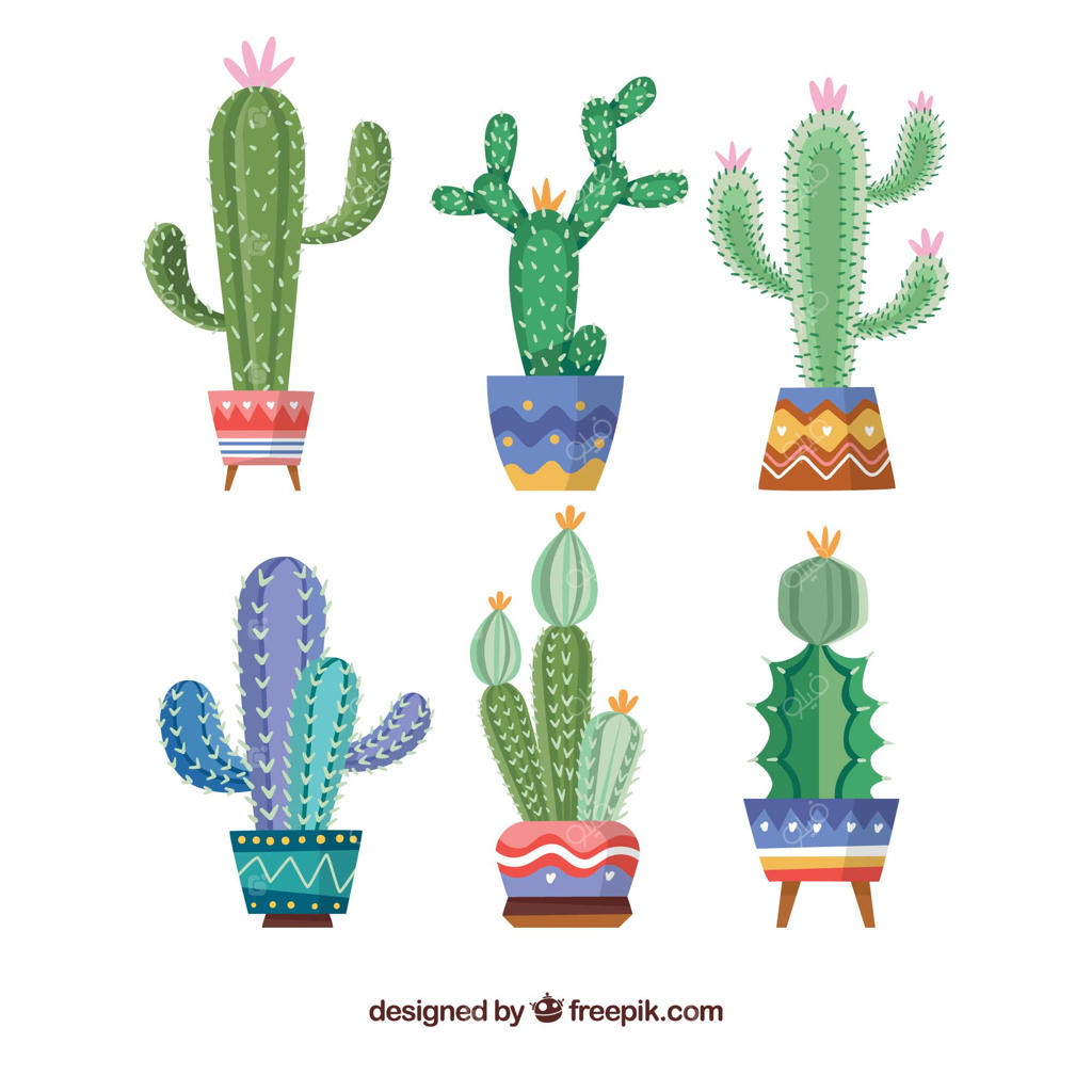 مجموعه کاکتوس‌های رنگارنگ