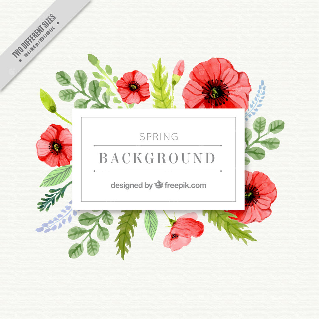 برچسب گل شقایق آبرنگی