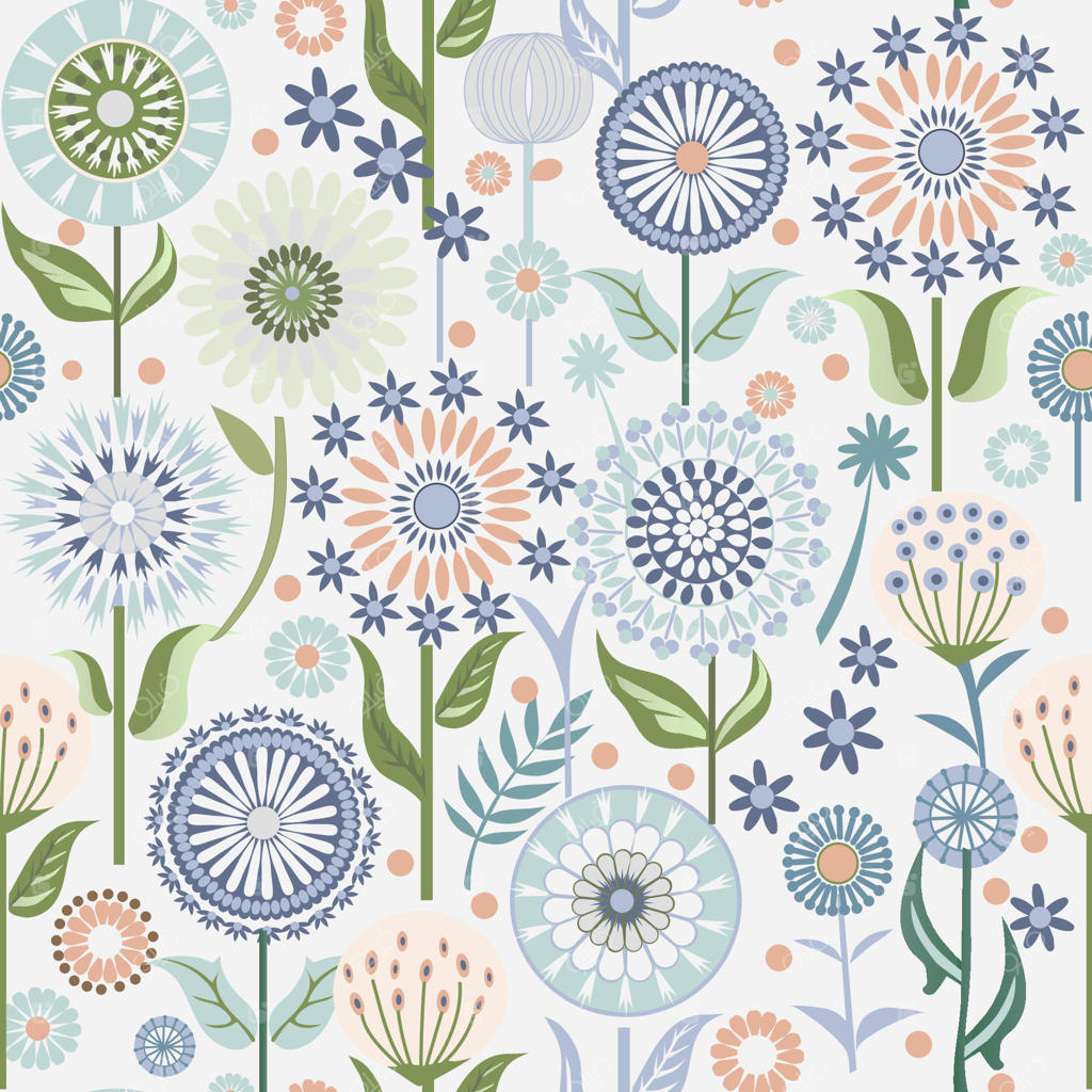 گل‌های لطیف قاصدک روی پس‌زمینه سفید