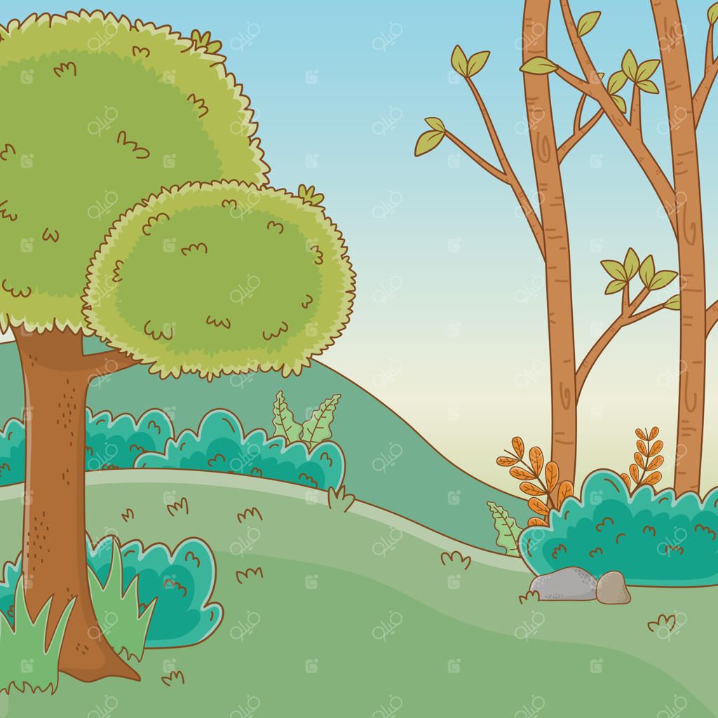 جنگلی از درختان