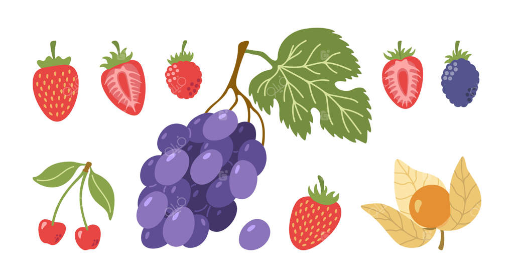 توت‌های باغی همراه با برگ‌ها: توت‌فرنگی، انگور، تمشک، شاه‌توت، گیلاس و فیسالیس. مجموعه‌ای کارتونی و دست‌کشیده.