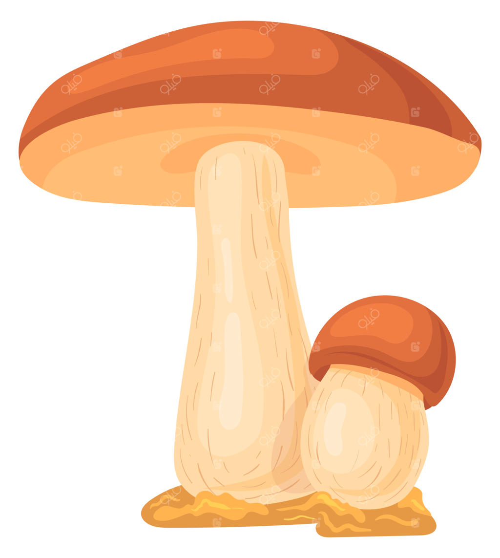 نماد کارتونی قارچ قهوه‌ای کلاهک بلیتوس