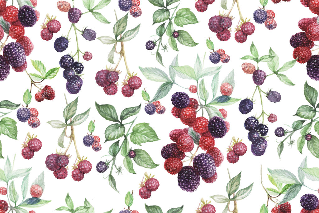 ست گرافیکی با گل‌ها و توت‌ها: طراحی‌هایی از شاه‌توت، انگور فرنگی، برگ‌ها و شاخه‌ها.