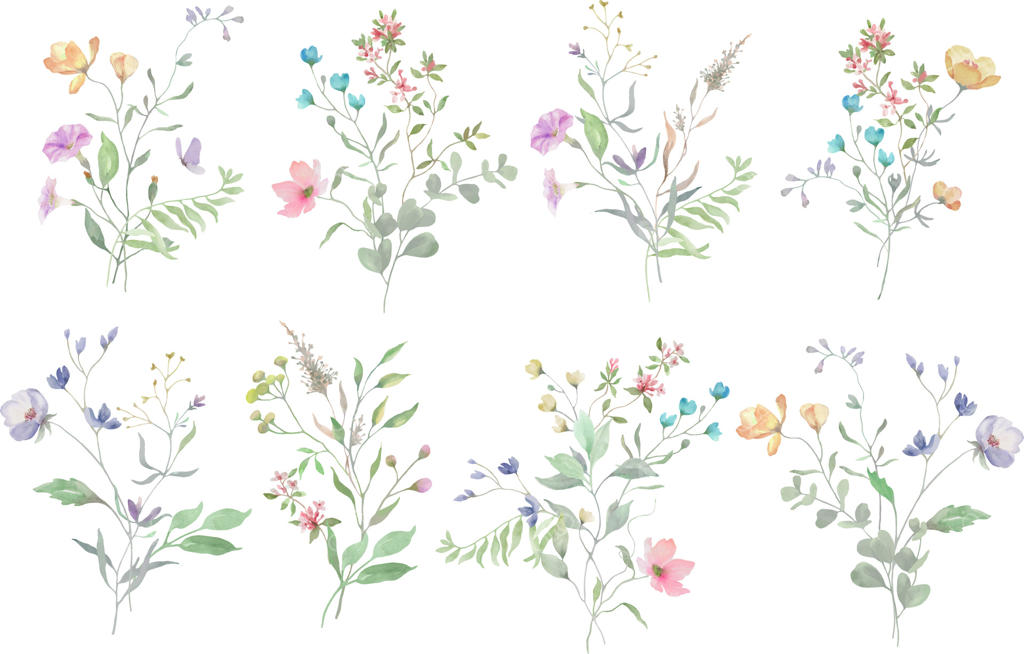 کشف تصاویر زیبای آبرنگی از گل‌ها با قابلیت حرفه‌ای وکتور