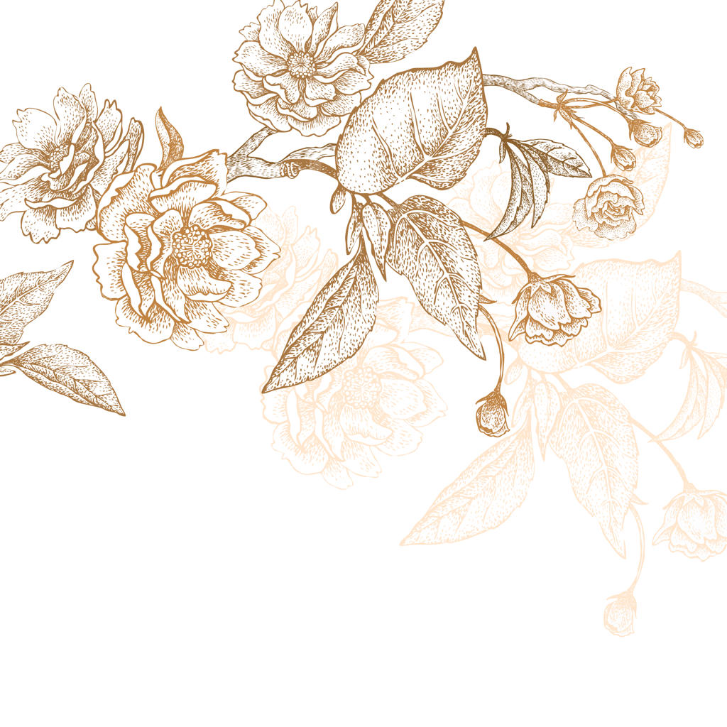 تصویری از شکوفه‌های درخت آلو.