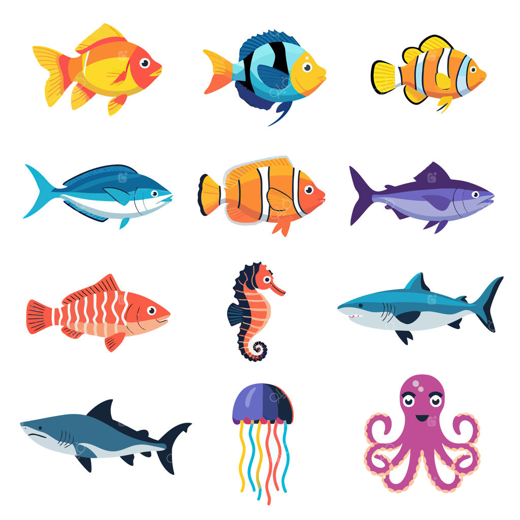 تصویر ماهی و هشت‌پا