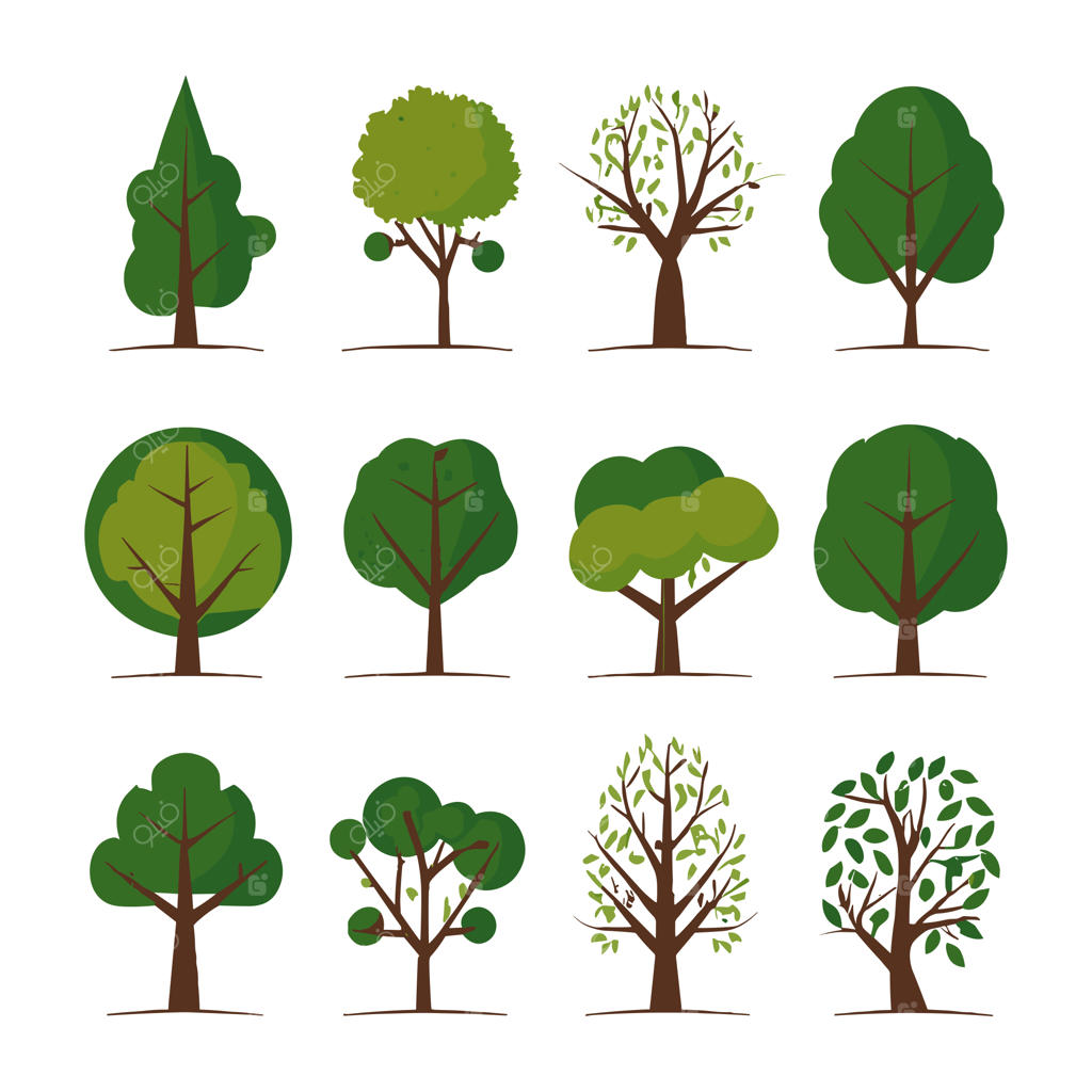 تصویرسازی وکتور درختان