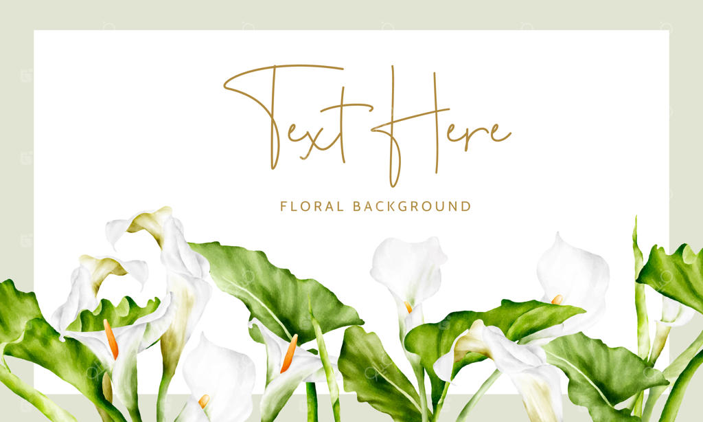 قالب پس‌زمینه گل زنبق سفید آبرنگی