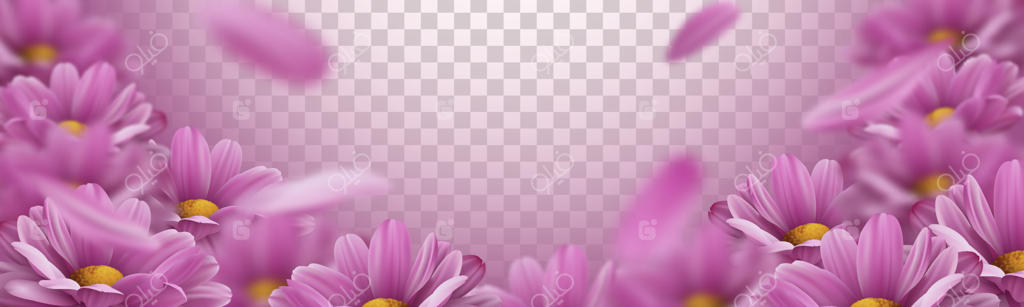 پس‌زمینه سه بعدی با گل‌های داوودی صورتی طبیعی و گلبرگ‌های ریزان؛ تصویرسازی وکتور