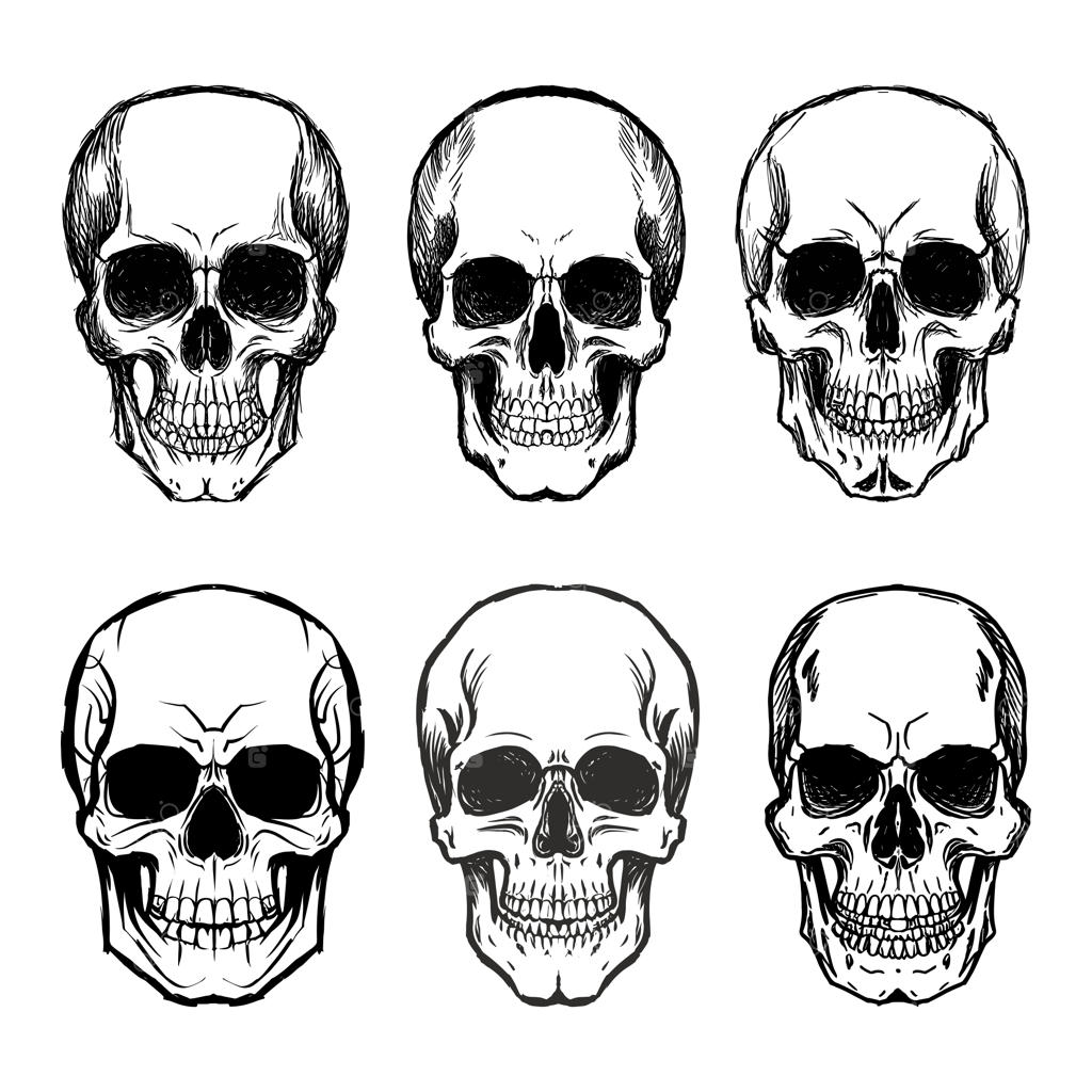 مجموعه وکتور تصویرسازی جمجمه انسان در پس‌زمینه سفید، المان طراحی لیبل و نشان