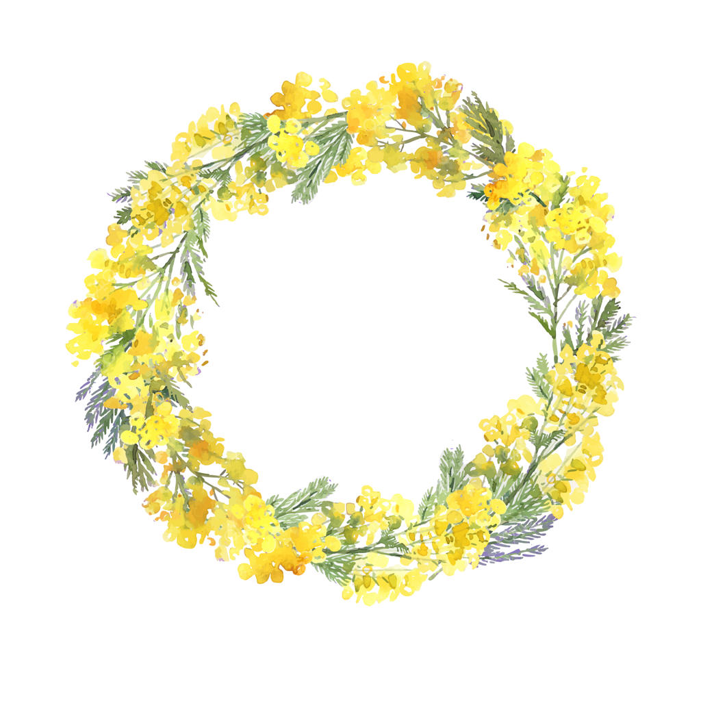حلقه گل آبرنگی با شاخه‌های دست‌کشیده میموزای زرد: قاب دایره‌ای ظریف با گل‌های بهاری.