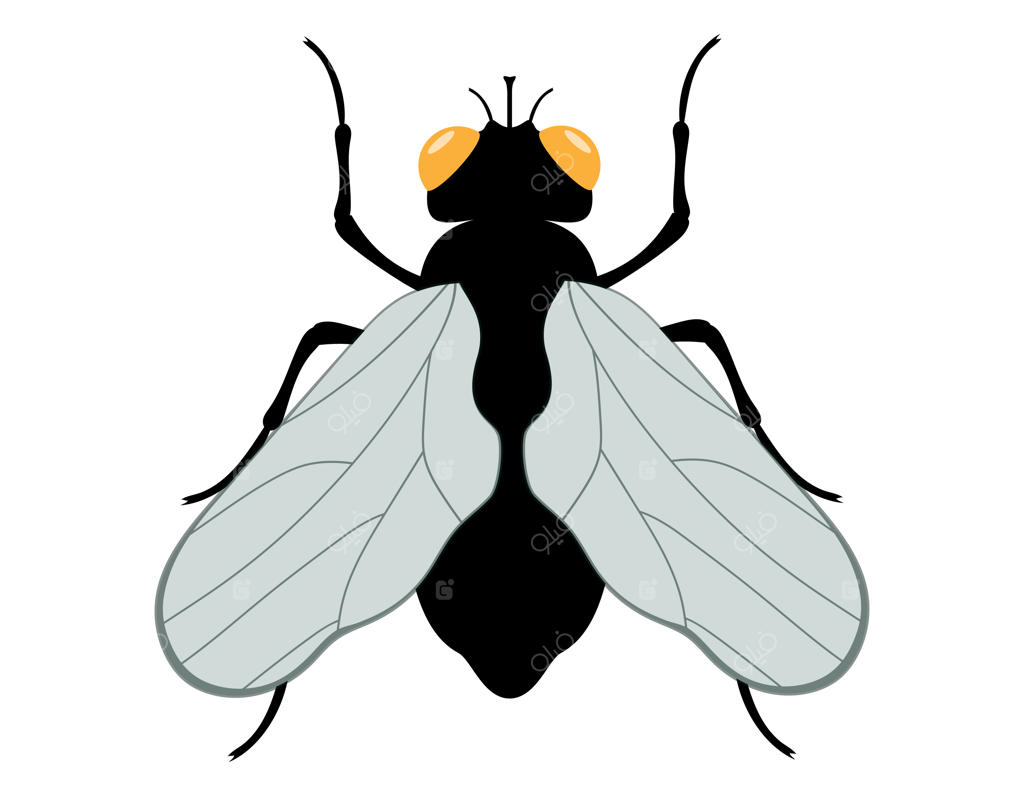 تصویرسازی وکتور حیوانات حیات وحش و حشرات به سبک فلت