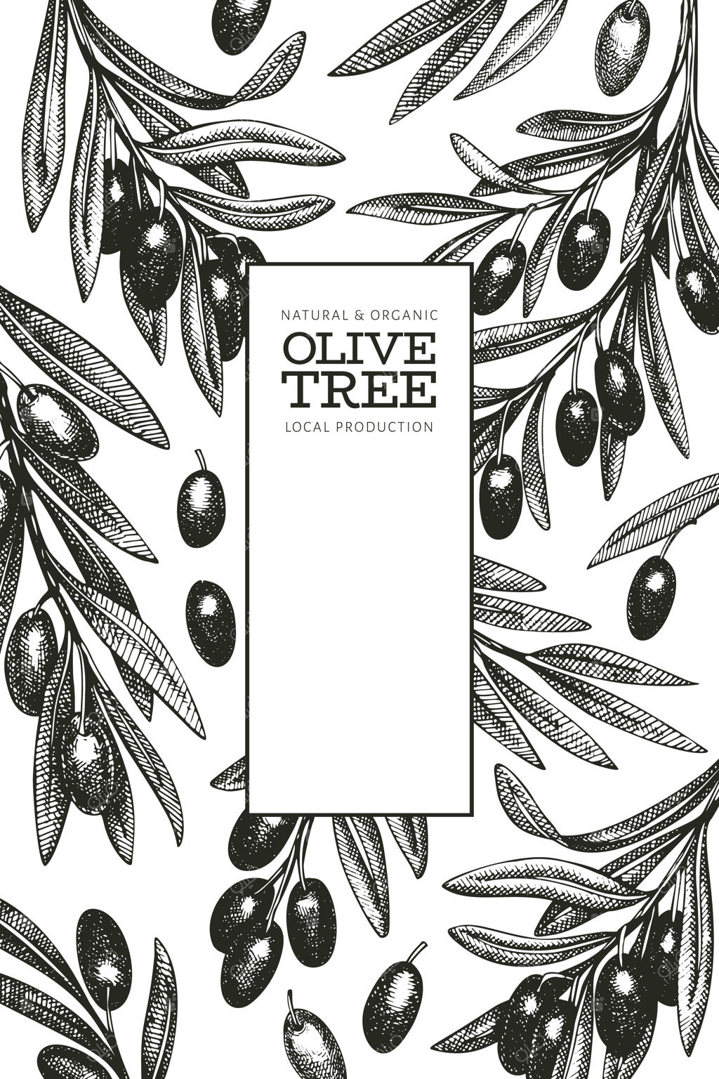 پترن شاخه زیتون.