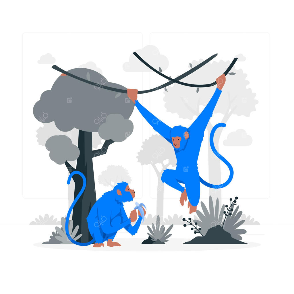 تصویرسازی مفهومی میمون‌ها