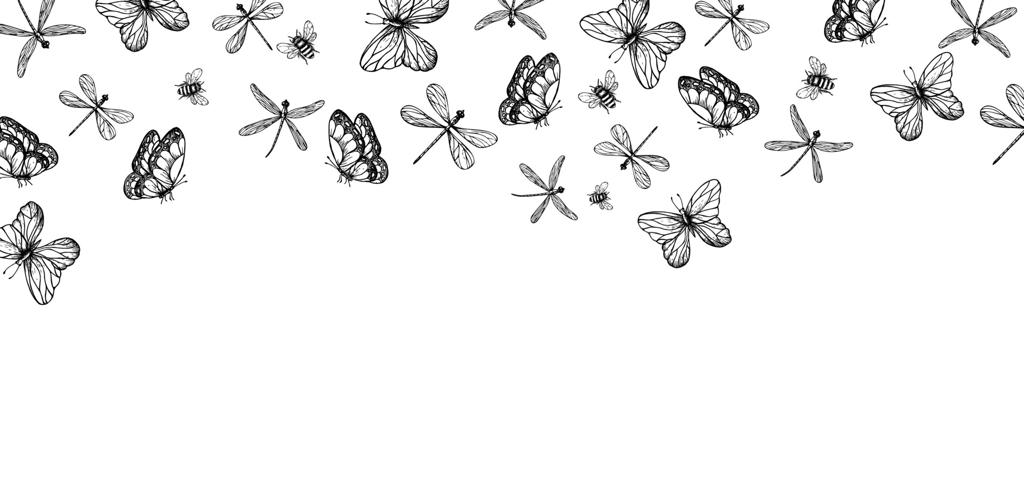 قاب و کارت پستال با سنجاقک، پروانه‌ها و زنبور. طراحی دست کشیده حشرات. کلیپ آرت گرافیکی بر روی زمینه. تصویرسازی گیاهی و عروسی. مناسب برای طراحان و دعوتنامه‌ها.