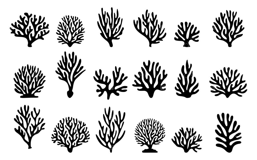 مجموعه تصویرسازی‌های سیلوئت سیاه و سفید مرجان