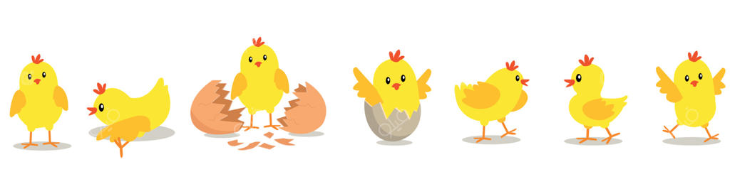 جوجه‌ای که از تخم بیرون می‌آید: تولد بچه جوجه کارتونی به صورت گام‌به‌گام. تصویرسازی بامزه و آموزشی برای کودکان.