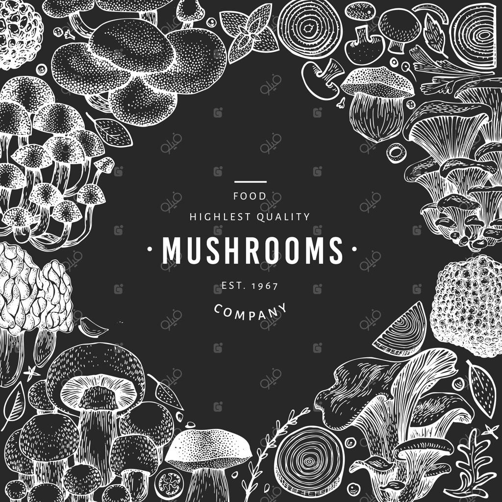 قالب قارچ: تصویر غذا به‌صورت دست‌کشیده روی تخته سیاه.