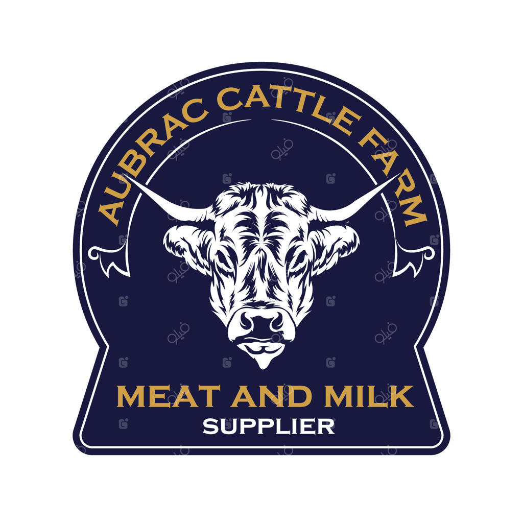 تصویر گاو ابراک، ایده‌آل برای طراحی لوگو و برچسب مزرعه
