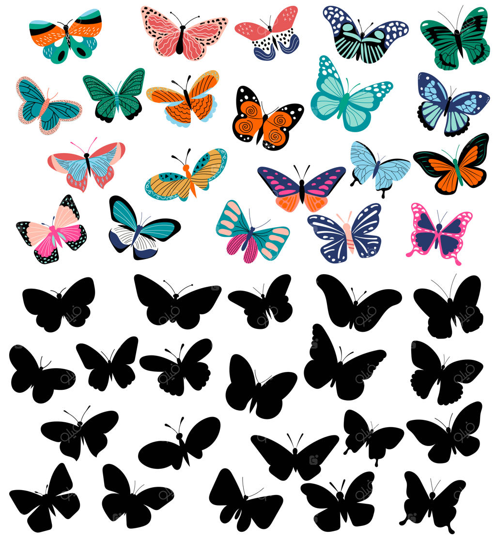 مجموعه وکتور پروانه‌ها در پس‌زمینه سفید