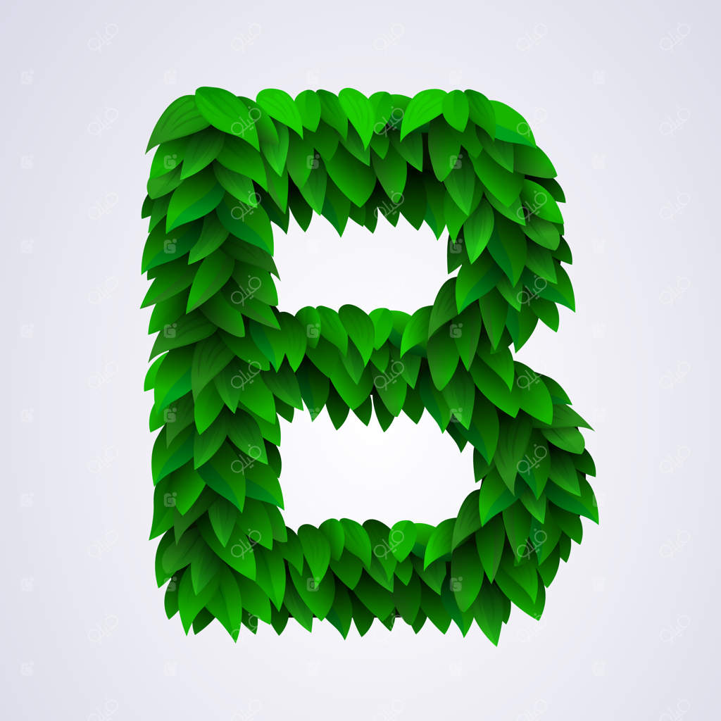 حروف الفبا از برگ‌های تازه و سبز: حرف B
