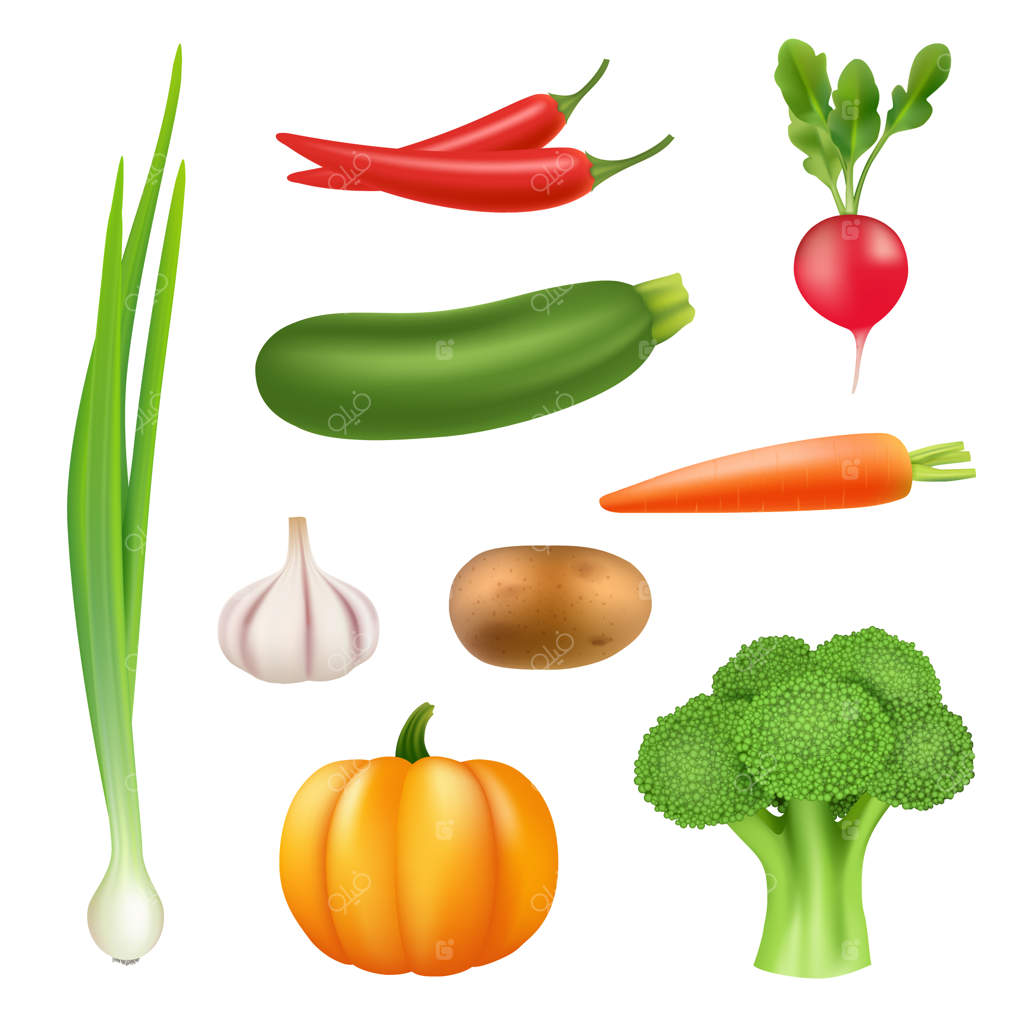 تصاویر واقعی سبزیجات: کدو تنبل، بروکلی، خیار، فلفل و هویج تازه و سالم - تصاویر سه‌بعدی