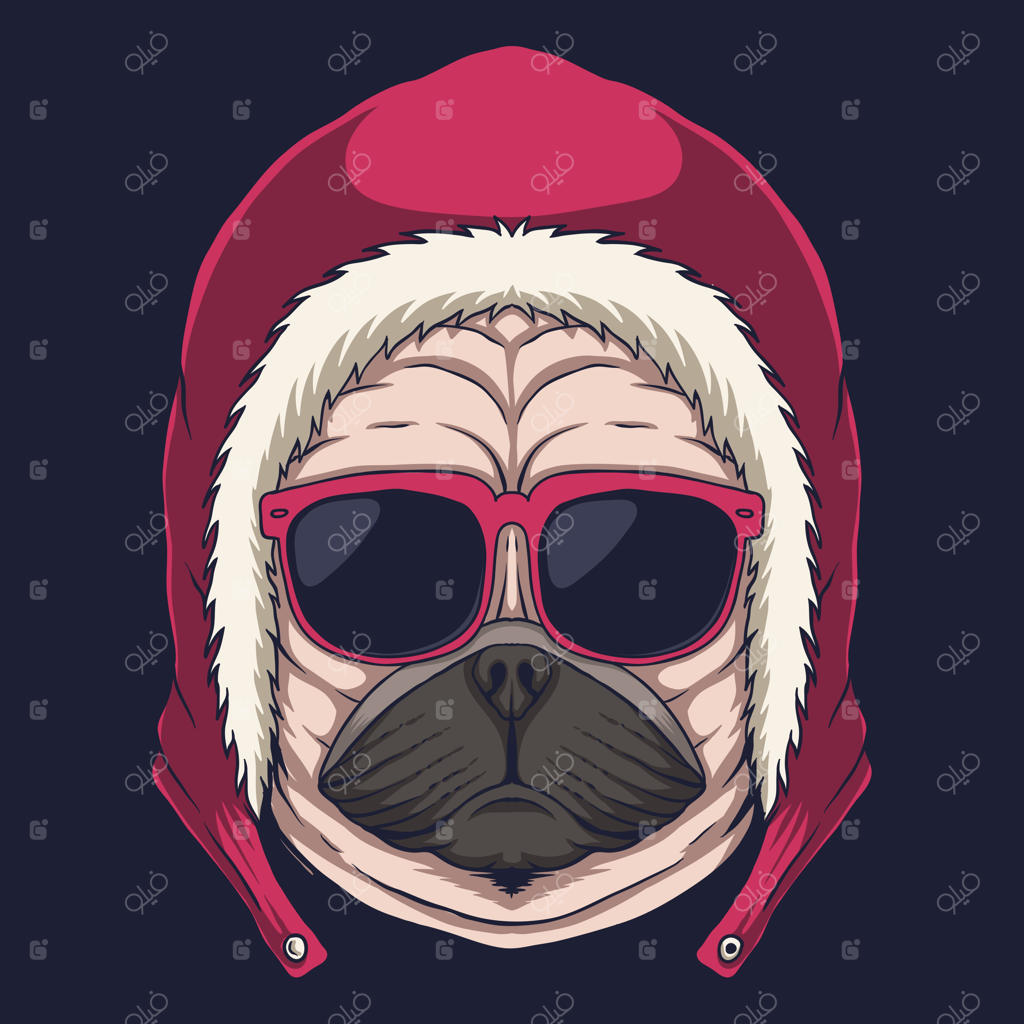 تصویر عینک بر روی سر سگ پاگ