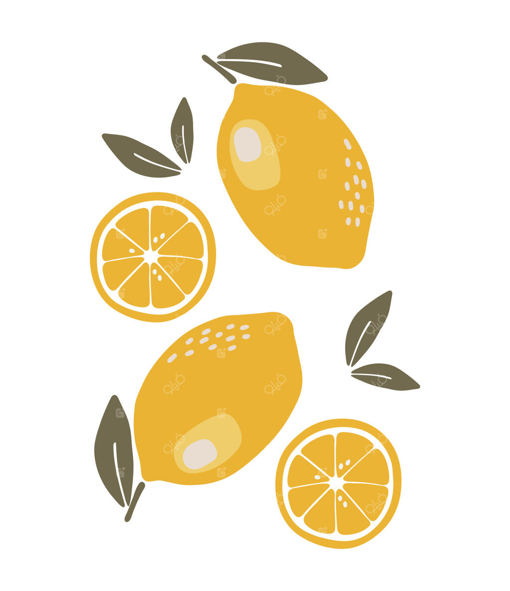 تصویرسازی میوه تابستانی لیمو