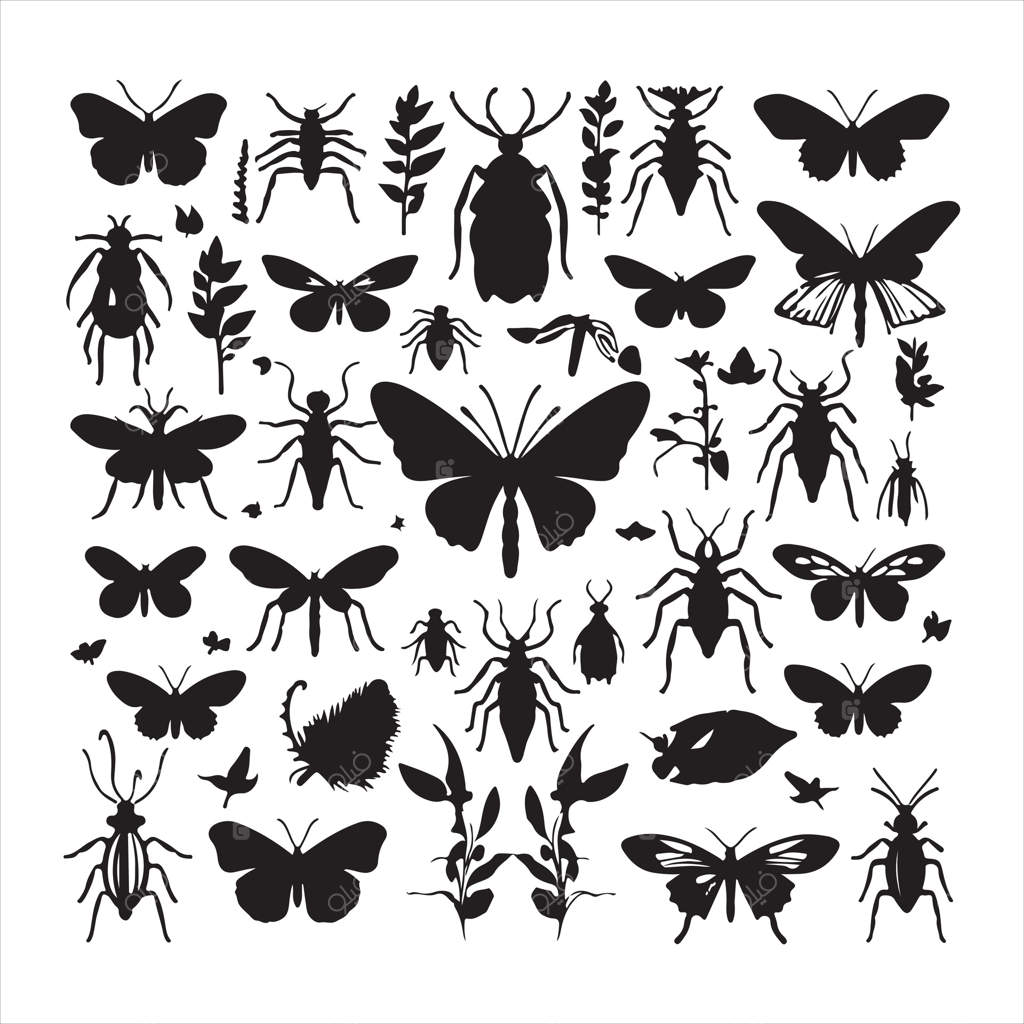 مجموعه حشرات باغ در پس‌زمینه سفید – پرو وکتور