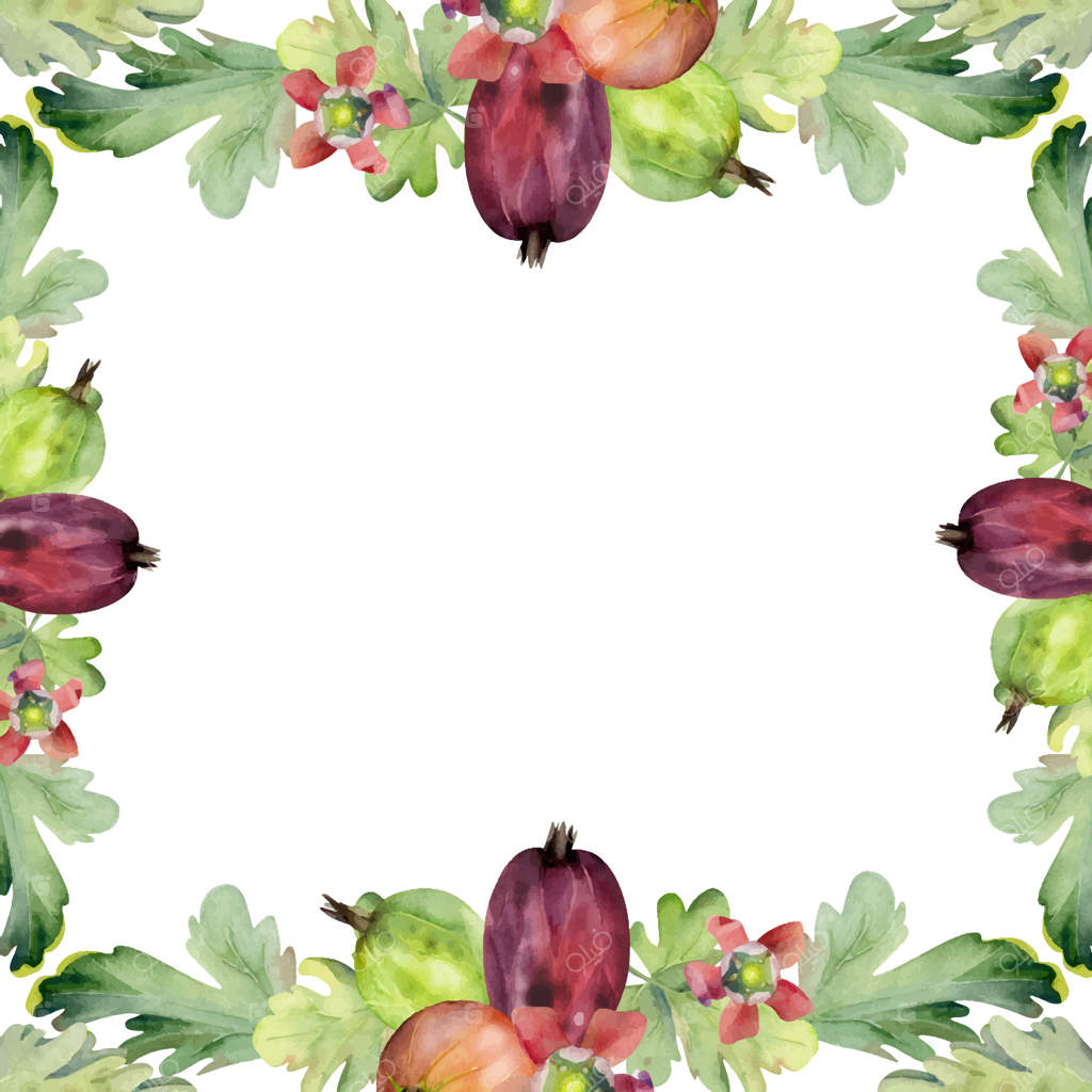 غنچه‌های گل زنگ‌بل و برگ‌های انگور فرنگی، توت‌های رسیده باغ. نقاشی دست‌ساز کشمش و یوستابری با آبرنگ. قاب مربعی جداگانه برای طراحی لوازم عروسی و گل‌فروشی‌ها.