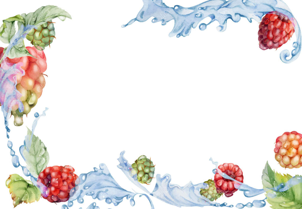 برگ‌های بوته تمشک در پاشش آب، قطرات شبنم، تمشک رسیده باغ، درختچه‌های توت، ابر تمشک، توت‌سیاه، لوگن‌بری، تی‌بری با آبرنگ نقاشی شده. قاب گوشه‌ای برای منوی بازار کشاورزان.