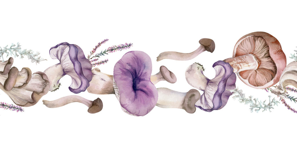 تصویر آبرنگی خیره‌کننده از قارچ‌ها در قالب وکتور حرفه‌ای