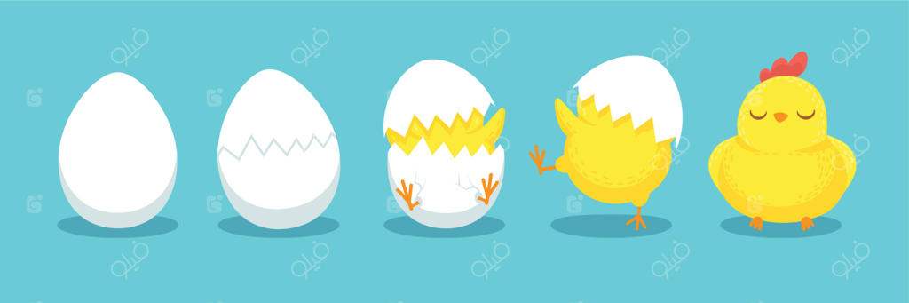 جوجه‌کشی: تخم‌مرغ‌های ترک‌خورده و جوجه‌های هچ‌شده کارتونی برای عید پاک - تصویرسازی وکتور