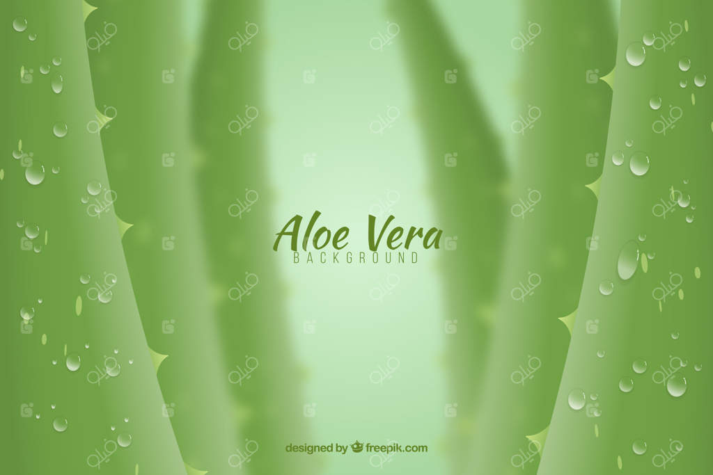 پس‌زمینه محو شده آلوئه‌ورا