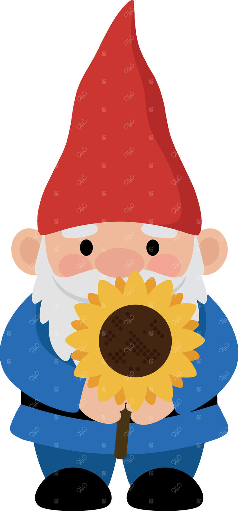 نقاشی کوتوله باغ با لباس آبی و کلاه قرمز در حال نگه داشتن گل آفتابگردان روشن