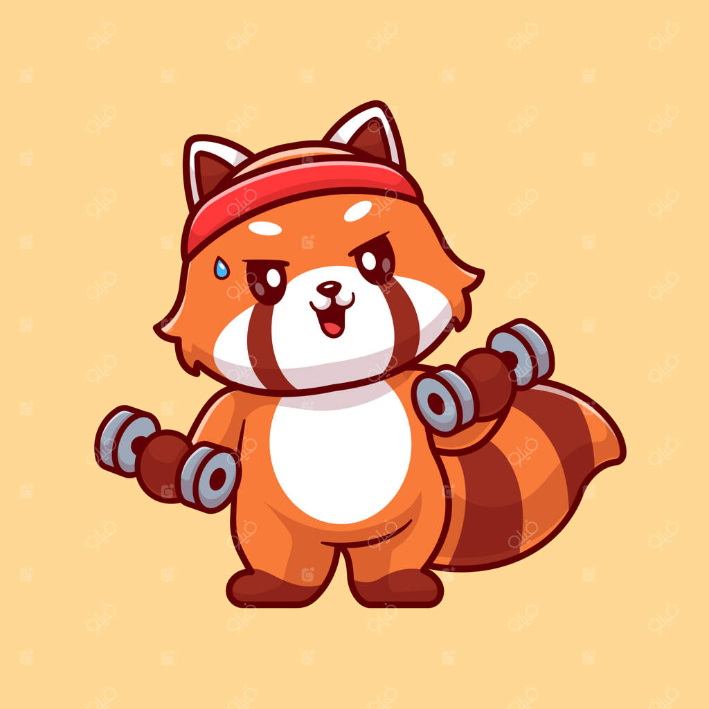 تصویر کارتونی وکتور پاندا قرمز بامزه با وزنه زدن در باشگاه. ورزش حیوانات به صورت مجزا