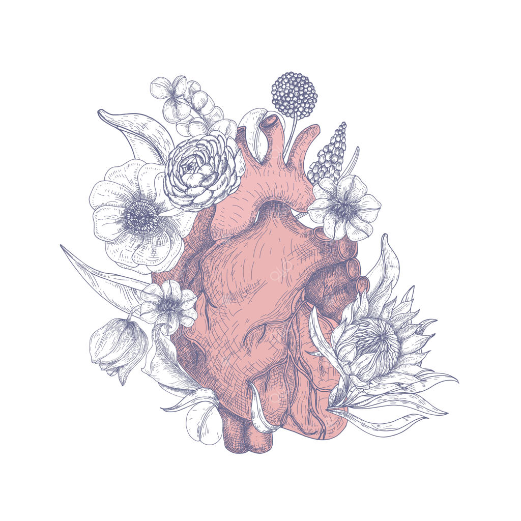 قلب آناتومیک جذاب در میان گل‌های شکوفا و زیبا دست‌کشی شده